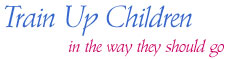 Bible Dvd - Bible Study Material for Children's Activities